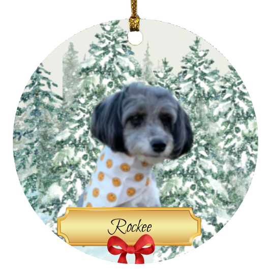 Personalized Pet Ornament - Ceramic