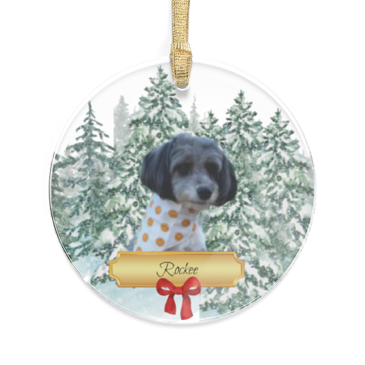 Personalized Pet Ornament - Acrylic